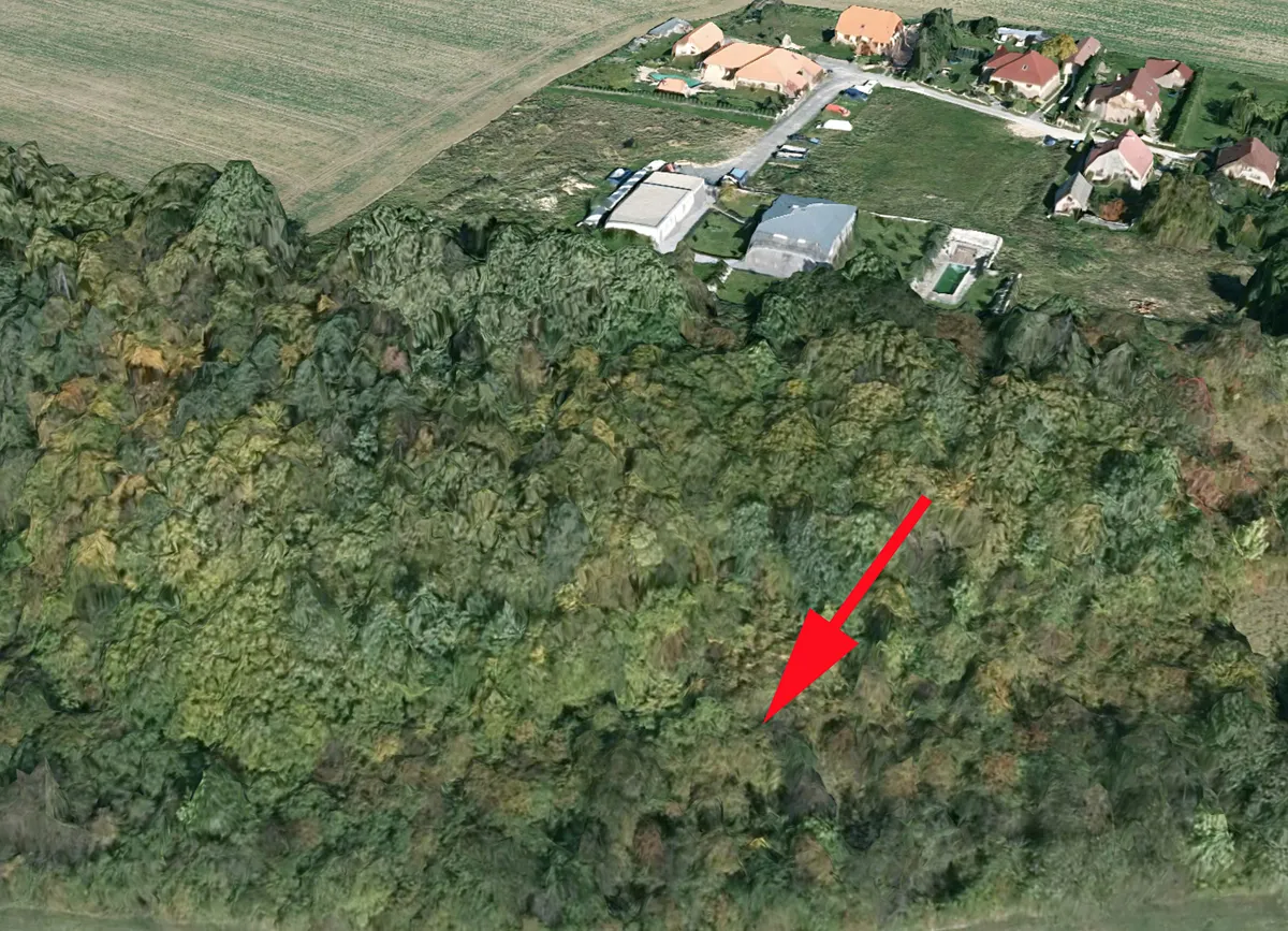 Prodej lesa 3111 m²